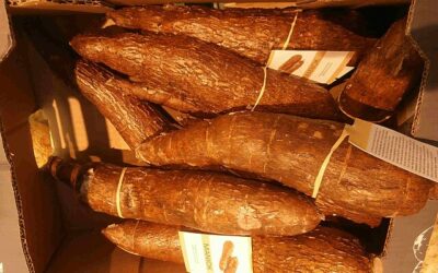 ¿Por qué la gastronomía hondureña es una mezcla de culturas?