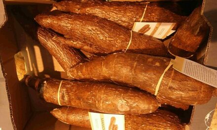 ¿Por qué la gastronomía hondureña es una mezcla de culturas?
