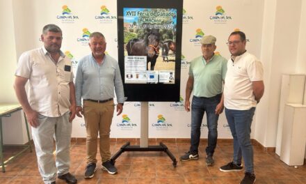 Almáchar mantiene viva la tradición con su XVII Feria de Ganado, entre mulos, vendimia y sones flamencos